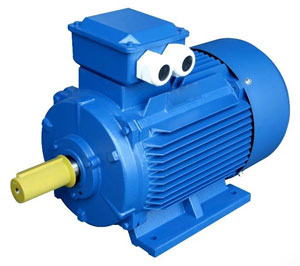 Induction motor